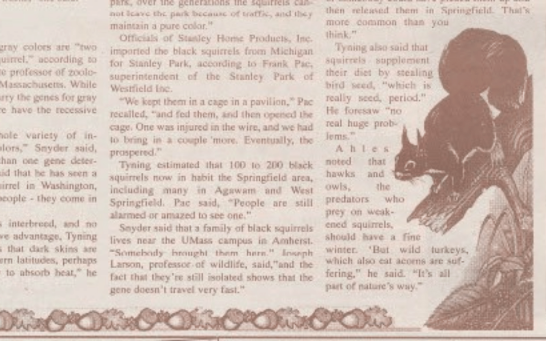 The Tale of the Black Squirrels