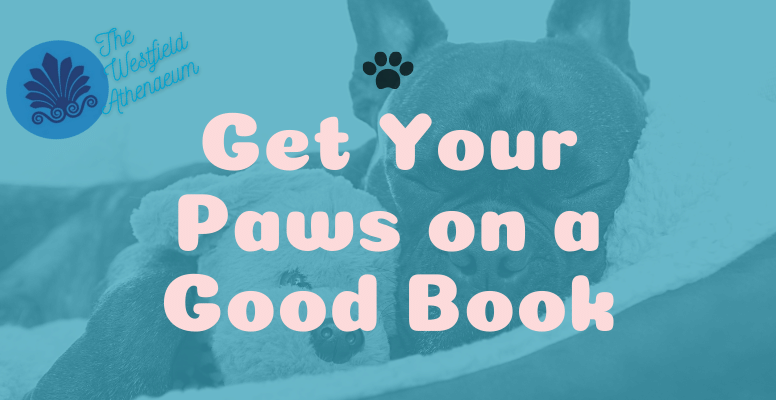 Get Your Paws on a Good Book